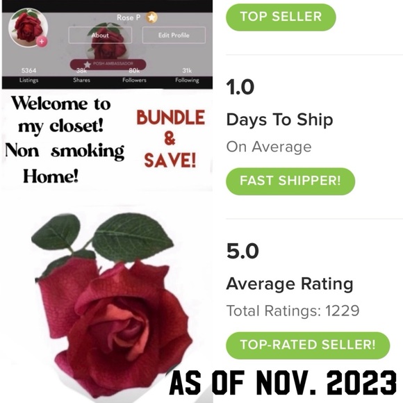 Organizer Bag Inserts 12X6.5X3 Change handbags purses easily 17 pockets LIKE NEW - Picture 10 of 10